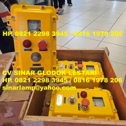 Explosion Proof Potentiometer RPM1500 BZC A1B1D1K1G